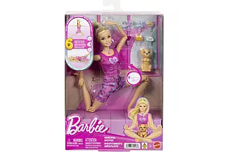 Barbie Meditační panenka JJN55