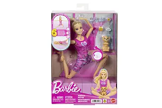 Barbie Meditační panenka JJN55