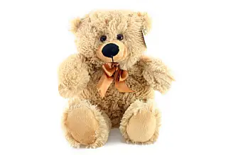 Plyš Medvěd menší 33 cm