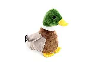 Plyš Kačer 16 cm