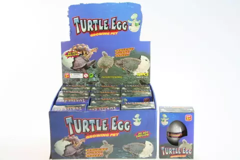 Vejce Želva 12/ bal