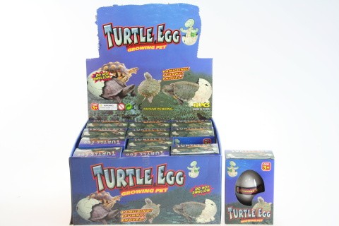 Vejce Želva 12/ bal