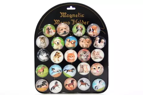 Magnety psi, kočky, koně 24/bal