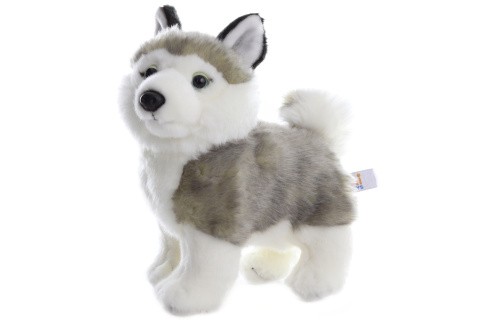 Plyš Husky 22 cm