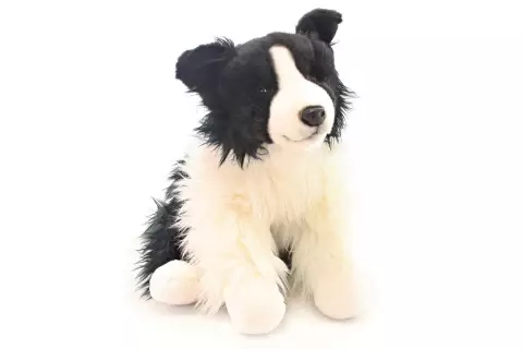 Plyš Border kolie 35 cm