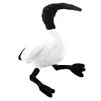 Plyš Ibis 15 cm