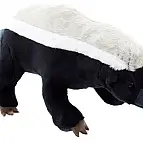Plyš Medojed 22cm