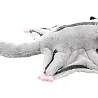 Plyš Vakoveverka létavá 15cm