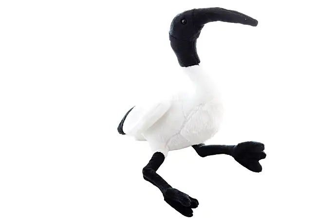 Plyš Ibis 15 cm