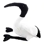 Plyš Ibis 15 cm