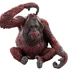 Orangutan