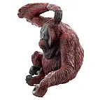 Orangutan