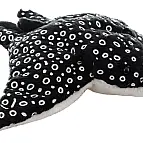 Plyš Rejnok orlí 20 cm