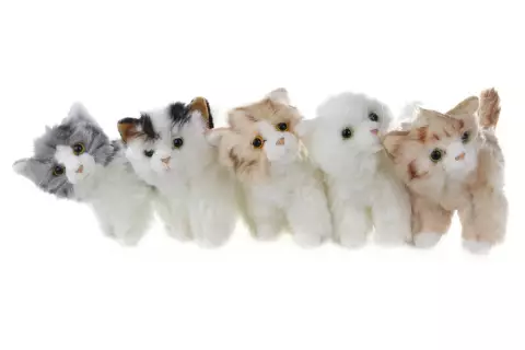 Plyš Kočka 2 barvy 28 cm