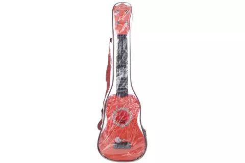 Kytara v pouzdře