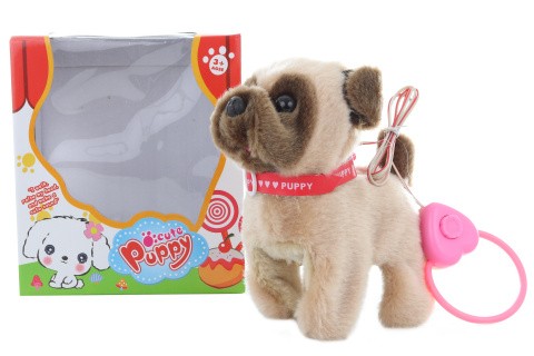 Pejsek hnědý chodící