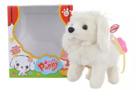 Pejsek bílý chodící