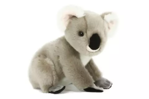 Plyš Koala 20 cm