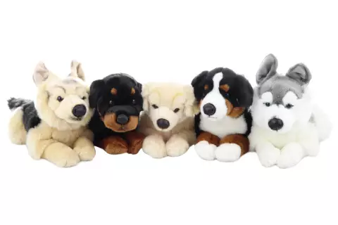 Plyš Pes 43 cm - ECO - FRIEDLY