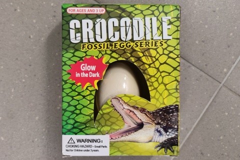 Tesání vejce krokodýl svítící