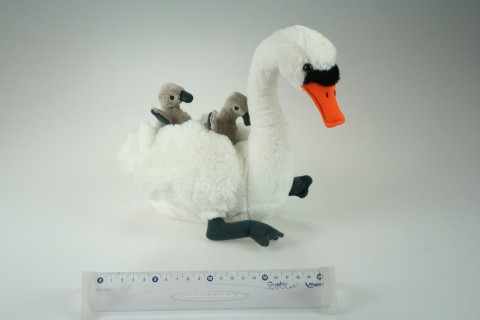 Plyš Labuť