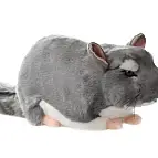 Plyš Činčila 22 cm