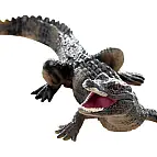 Krokodýl