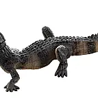 Krokodýl