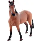Kůň