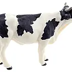 Kráva