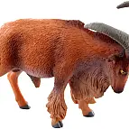 Paovce