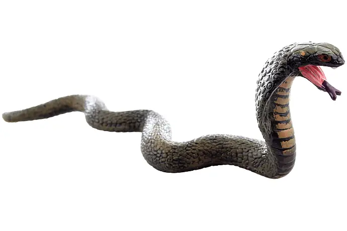 Had