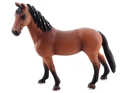 Kůň