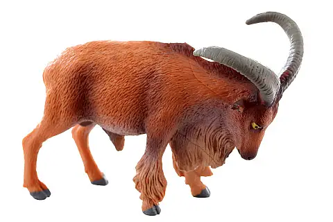 Paovce