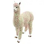 Lama
