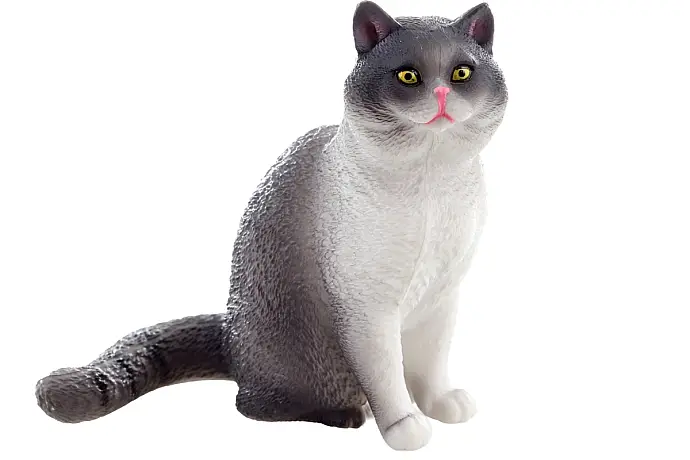 Kočka