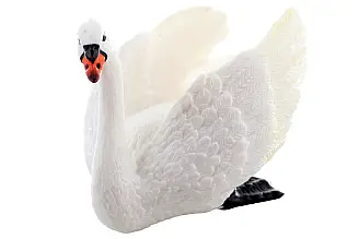Labuť