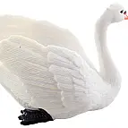 Labuť