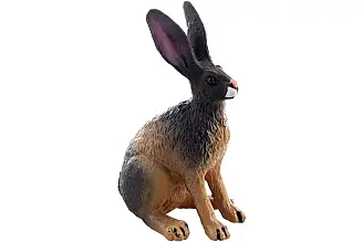 Zajíc