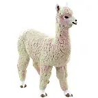 Lama