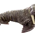 Mrož