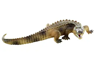 Krokodýl