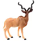 Kozoroh