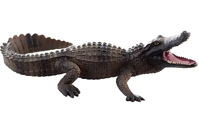 Krokodýl