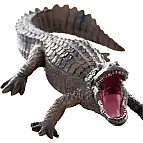Krokodýl