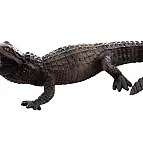 Krokodýl
