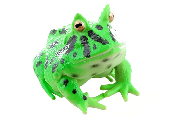 Žába