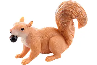 Veverka