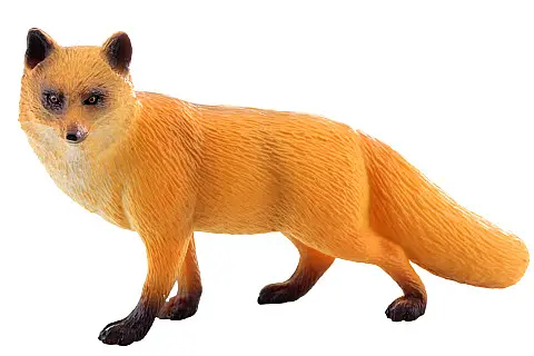 Liška