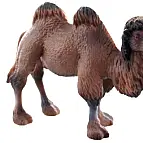 Velbloud